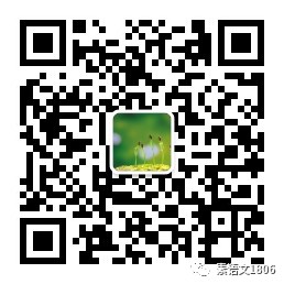 篮球训练直播_1